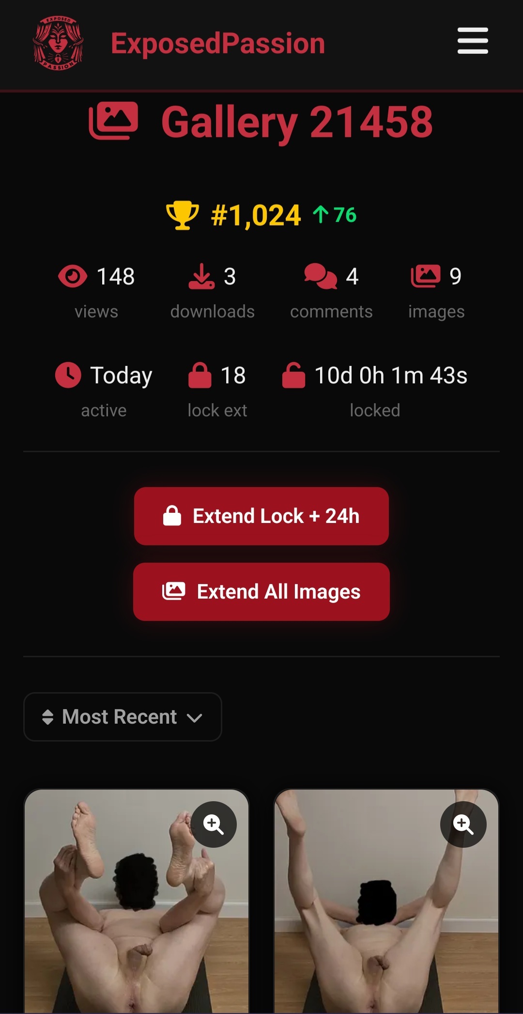 extend everything and share my gallery