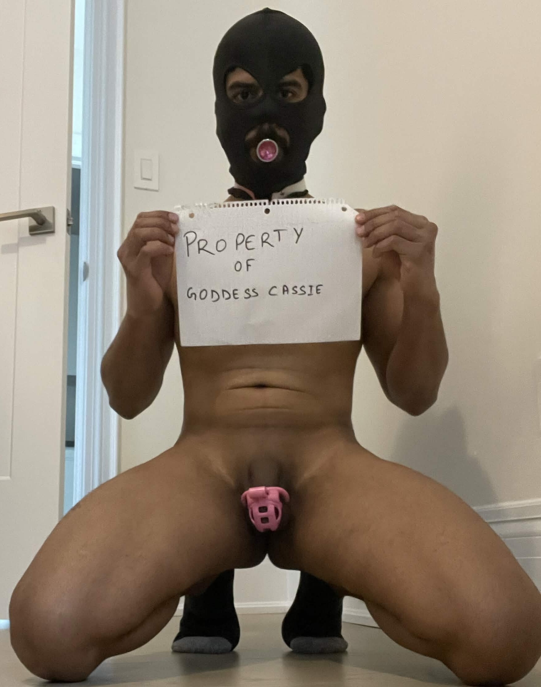 OWNED BETA FUCKTOY