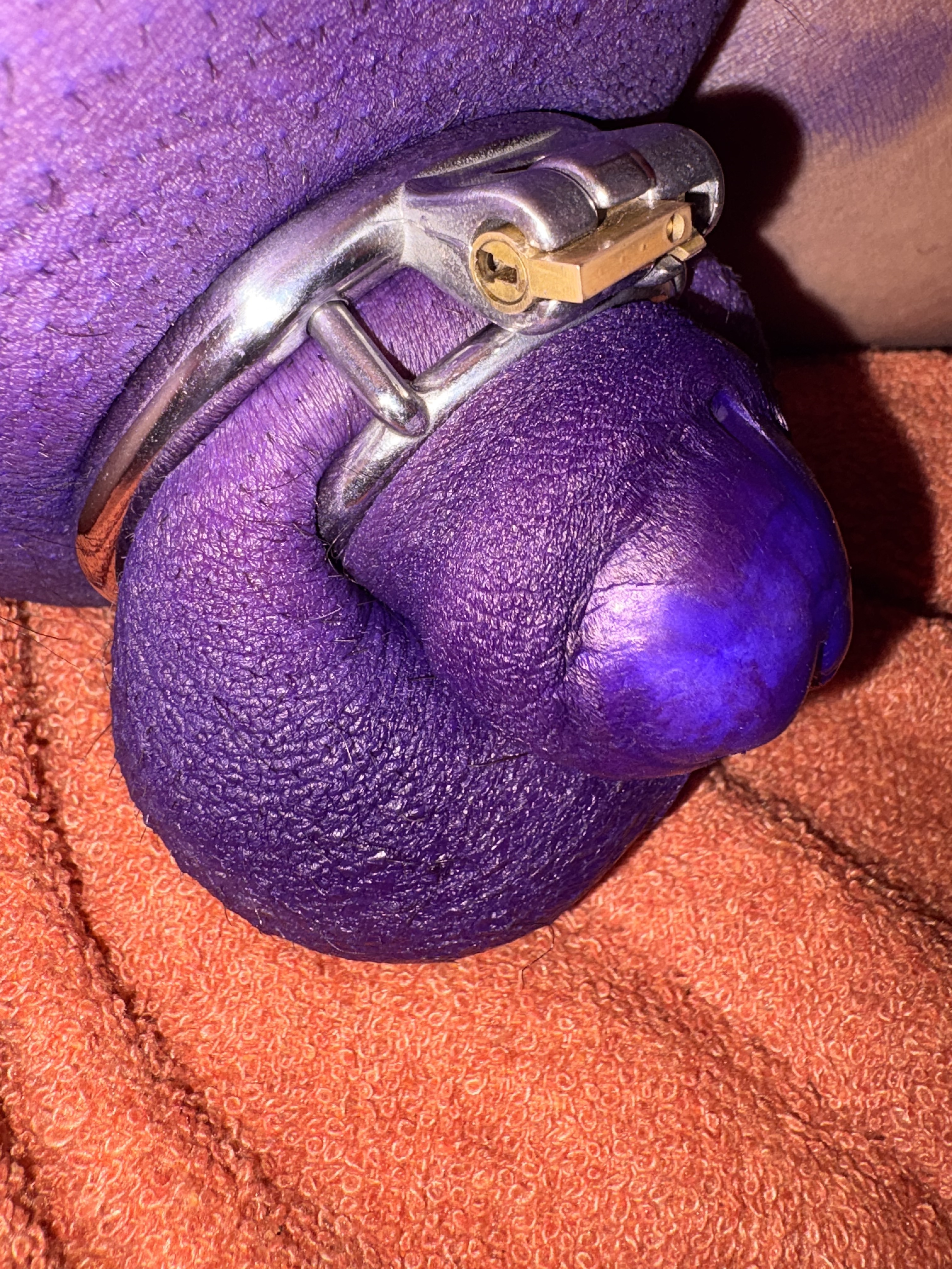 Pig Slave punished by paint little cocks