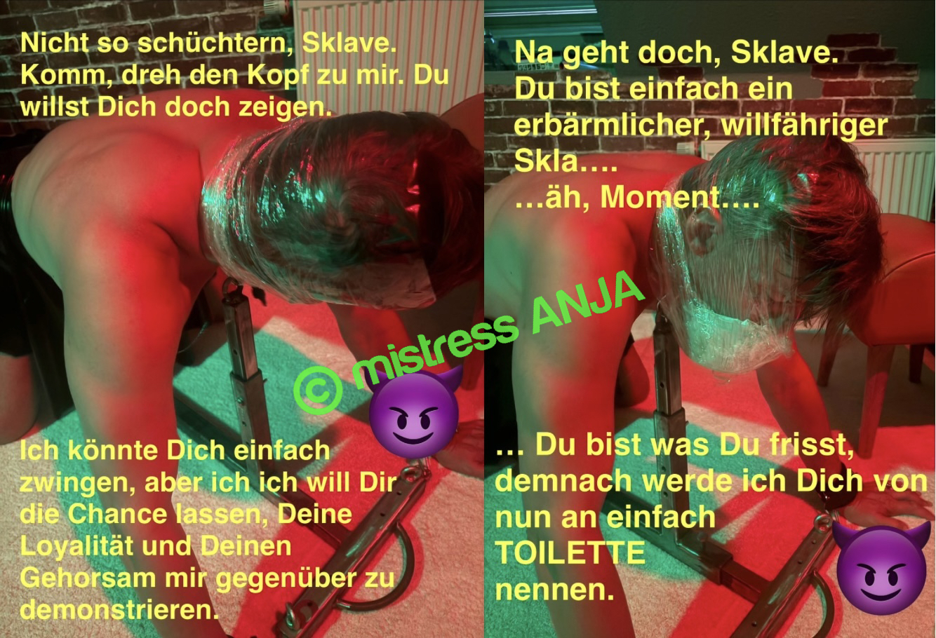 Die Sau wird weiter erniedrigt - Ki(c)k me: mux247