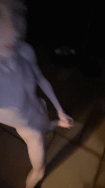 Public faggot