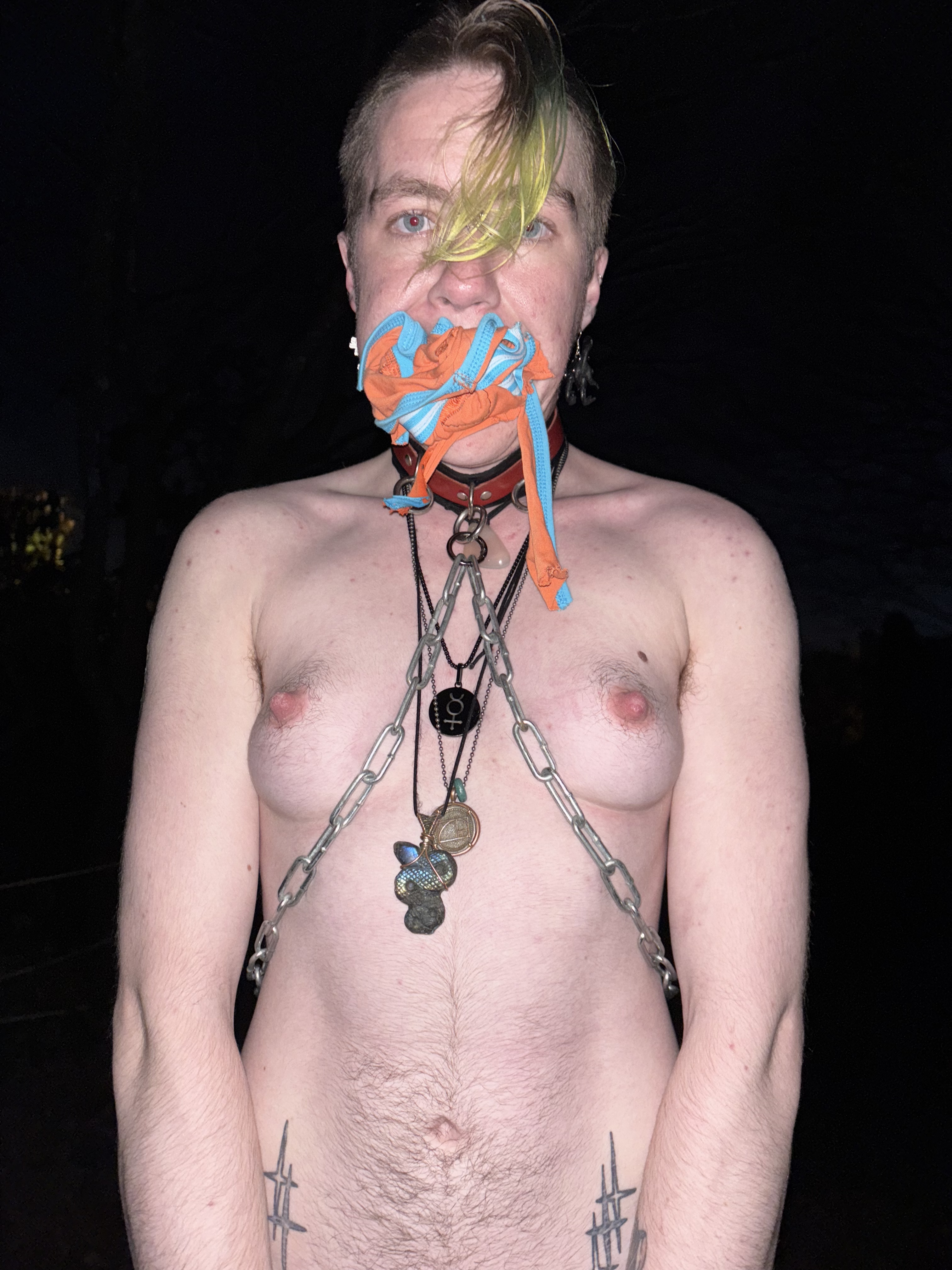 Public porn mutt