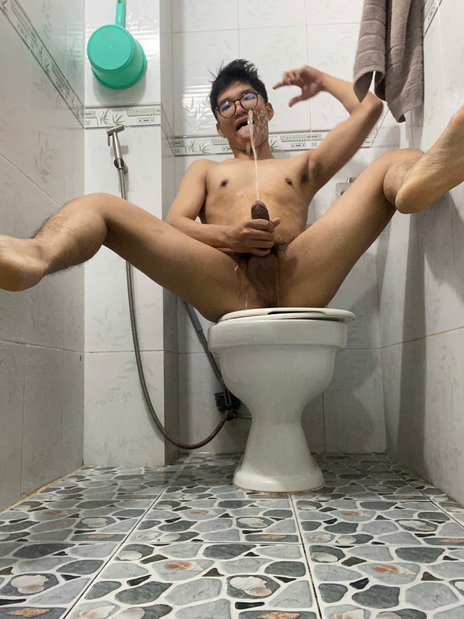 Viet toilet dog