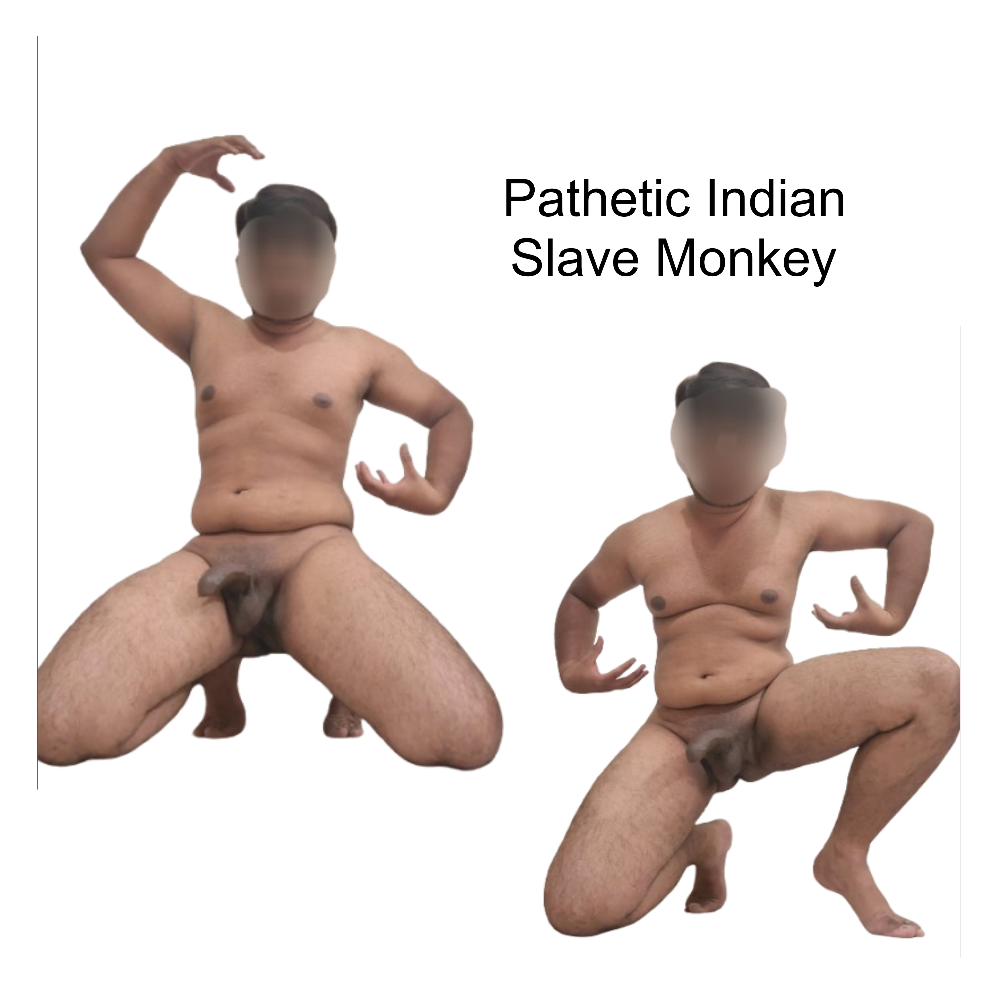 Pathetic indian slave monkey