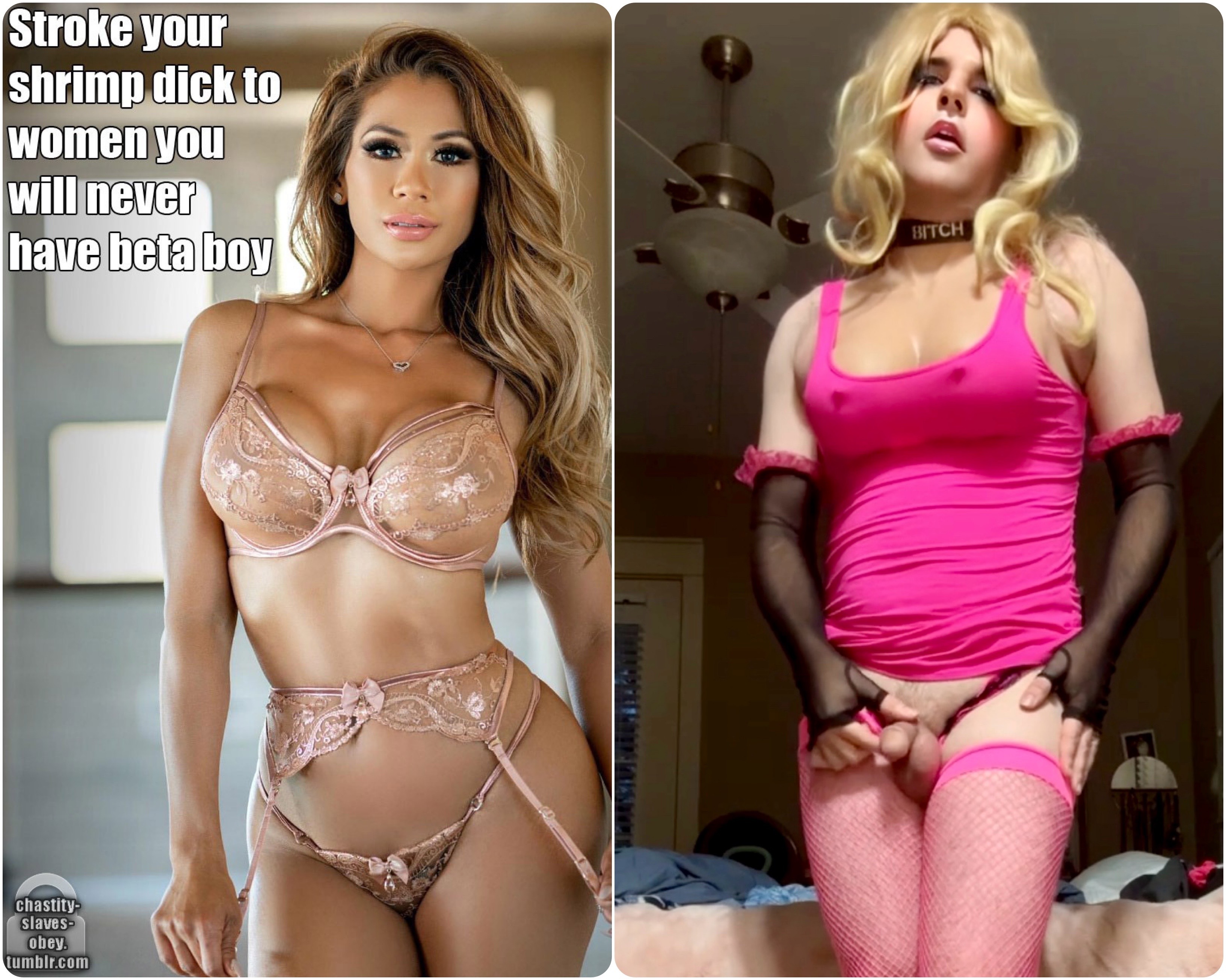 Every Sissy’s Truth