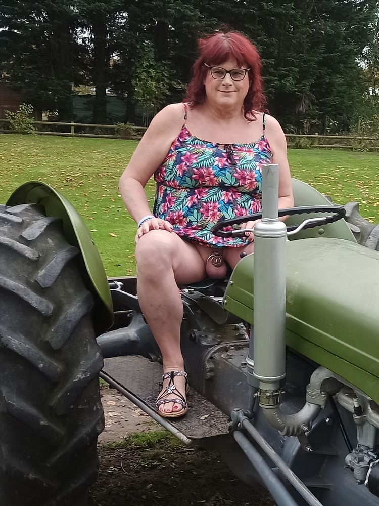 Fun on the farm