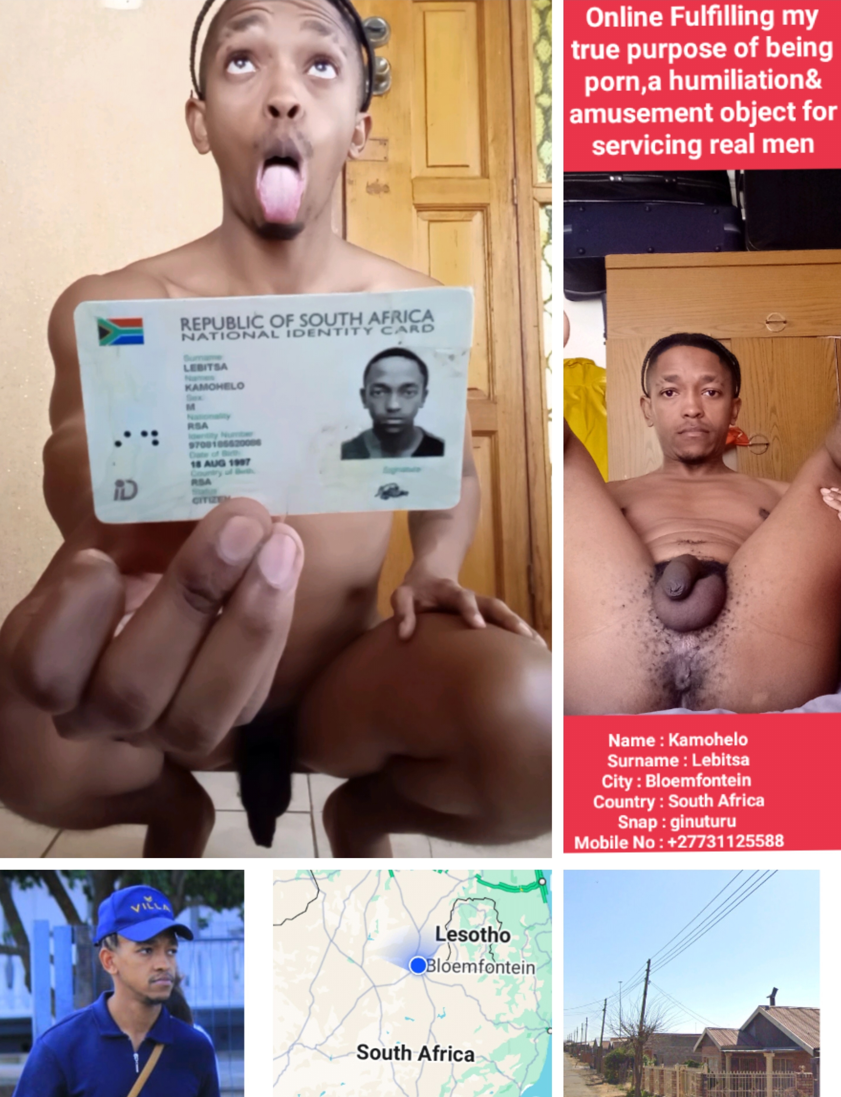 Risky Faggot Monkey