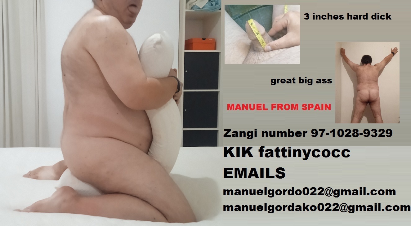 Fat spanish pig