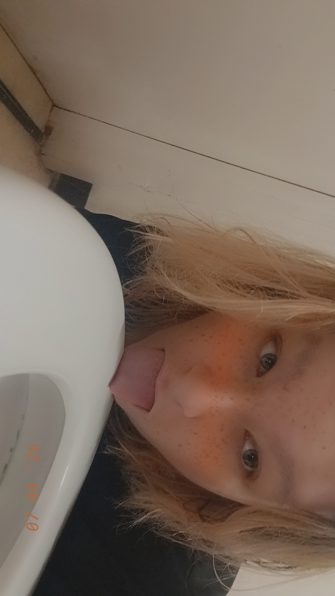 Kitty toilet
