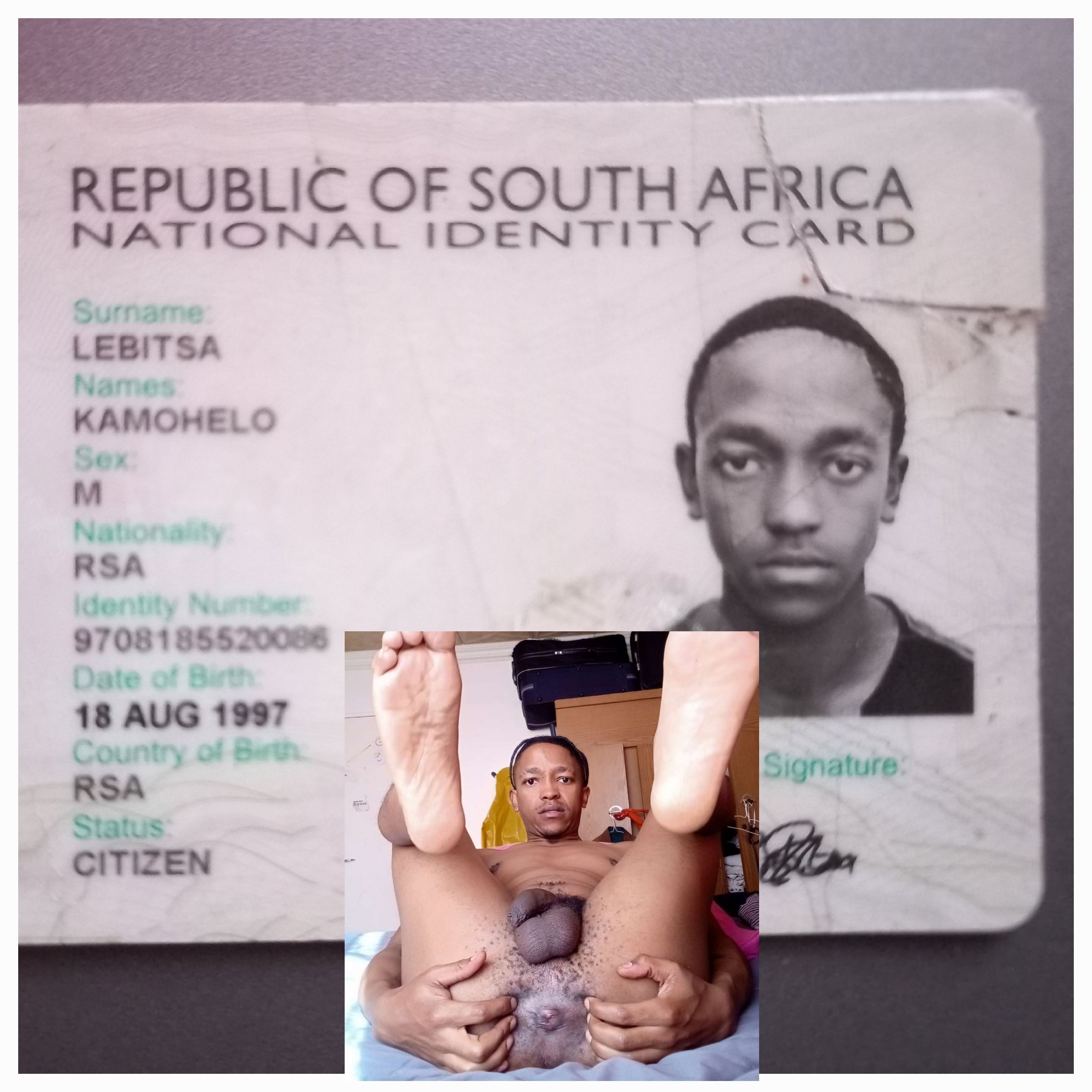 South African Monkey Faggot ID