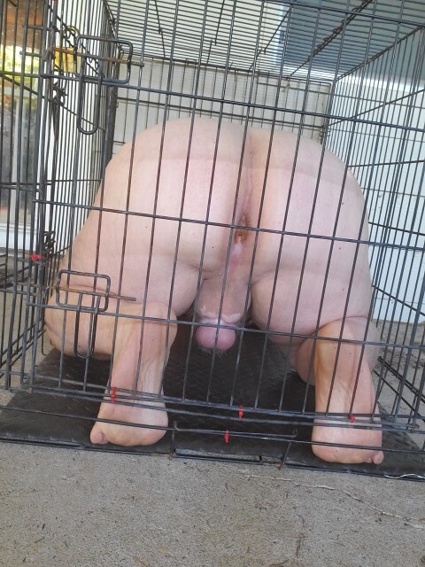 Ass in the Cage