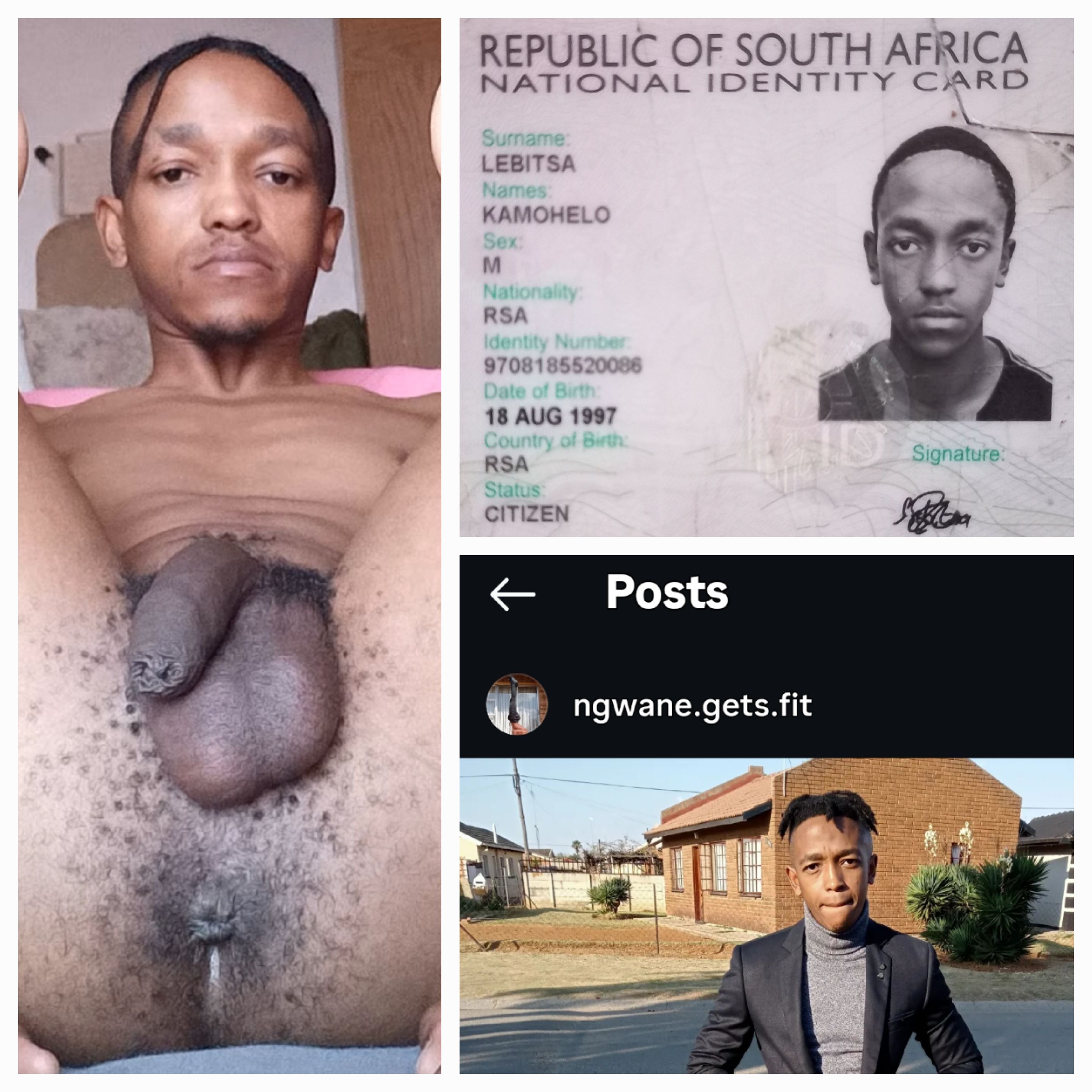 Dumb African Monkey