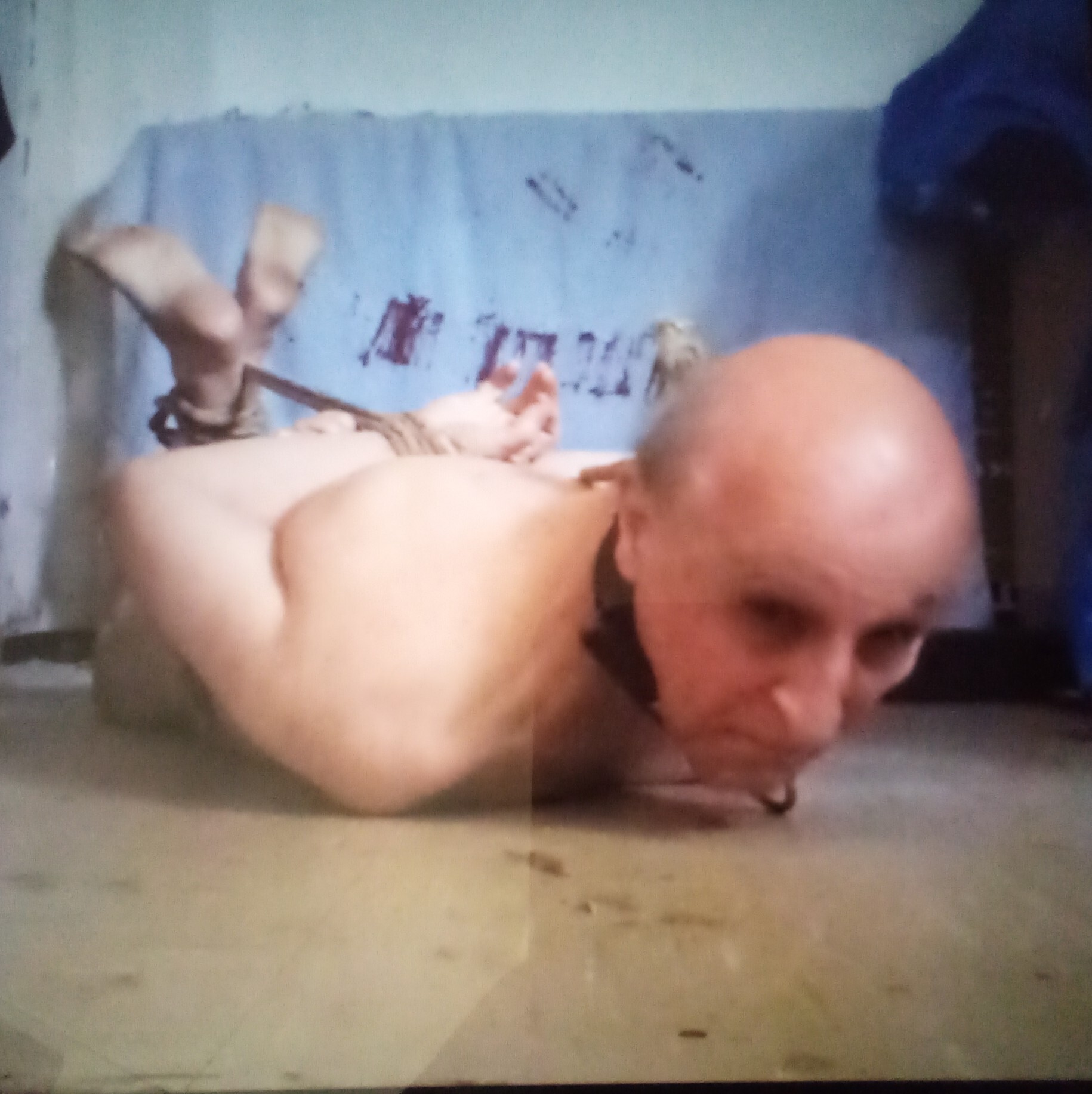 Rodeo roped