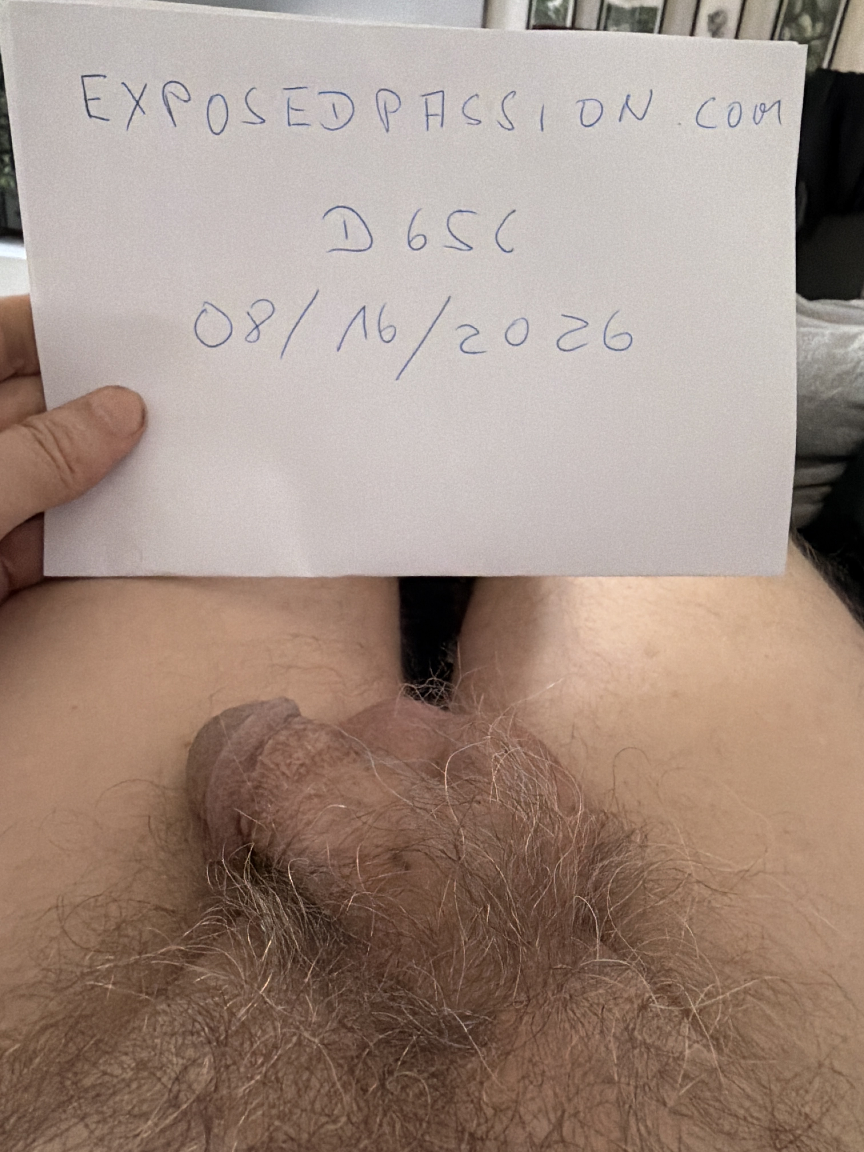 D65C-Verification Photo