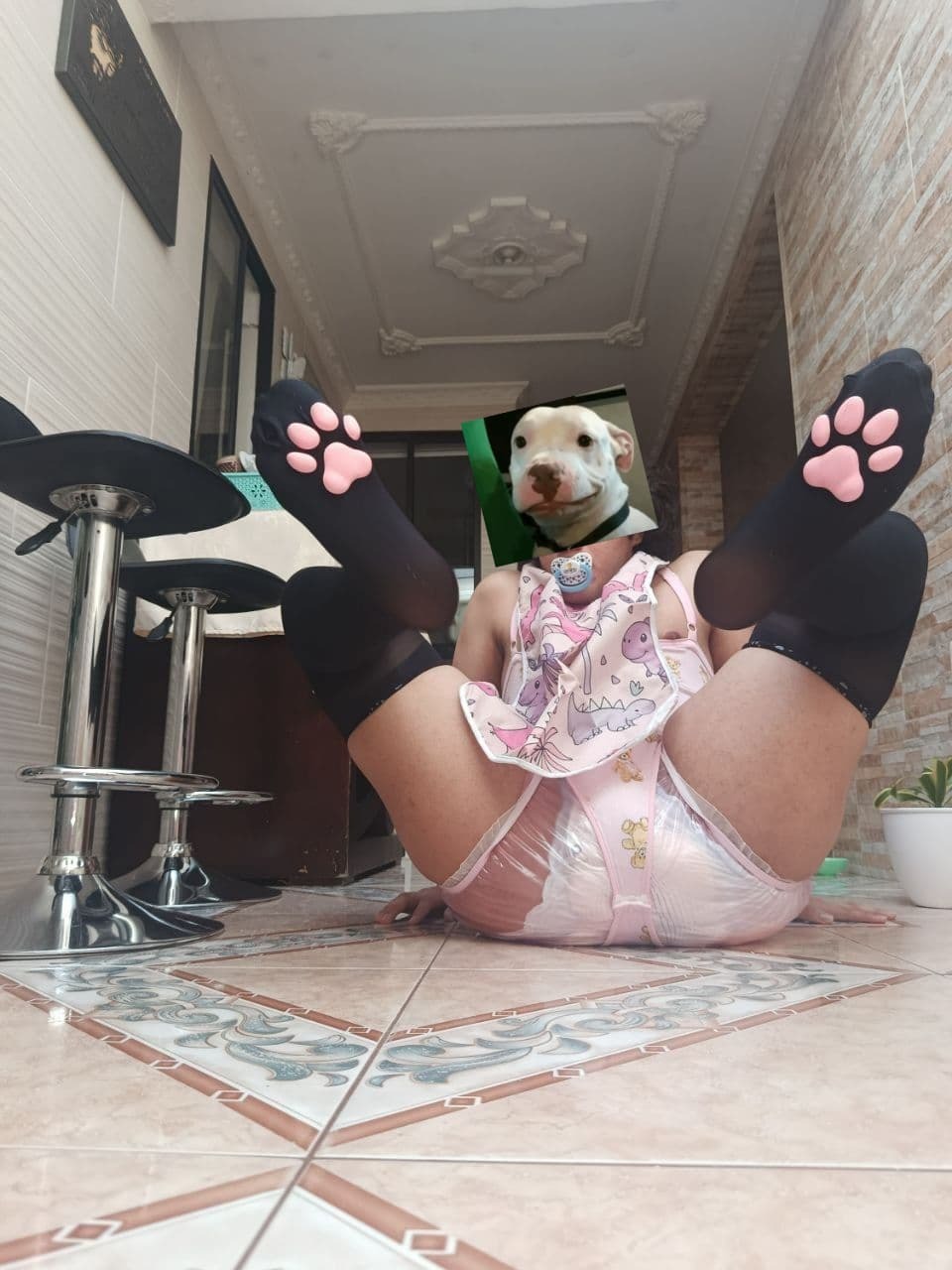 Diaper sissy kitten