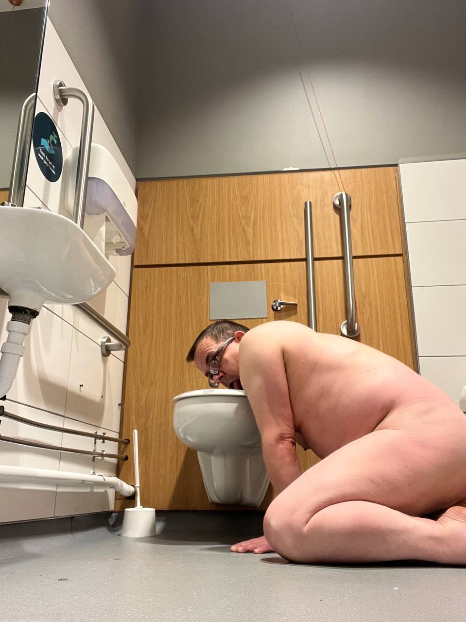 Toilet pig