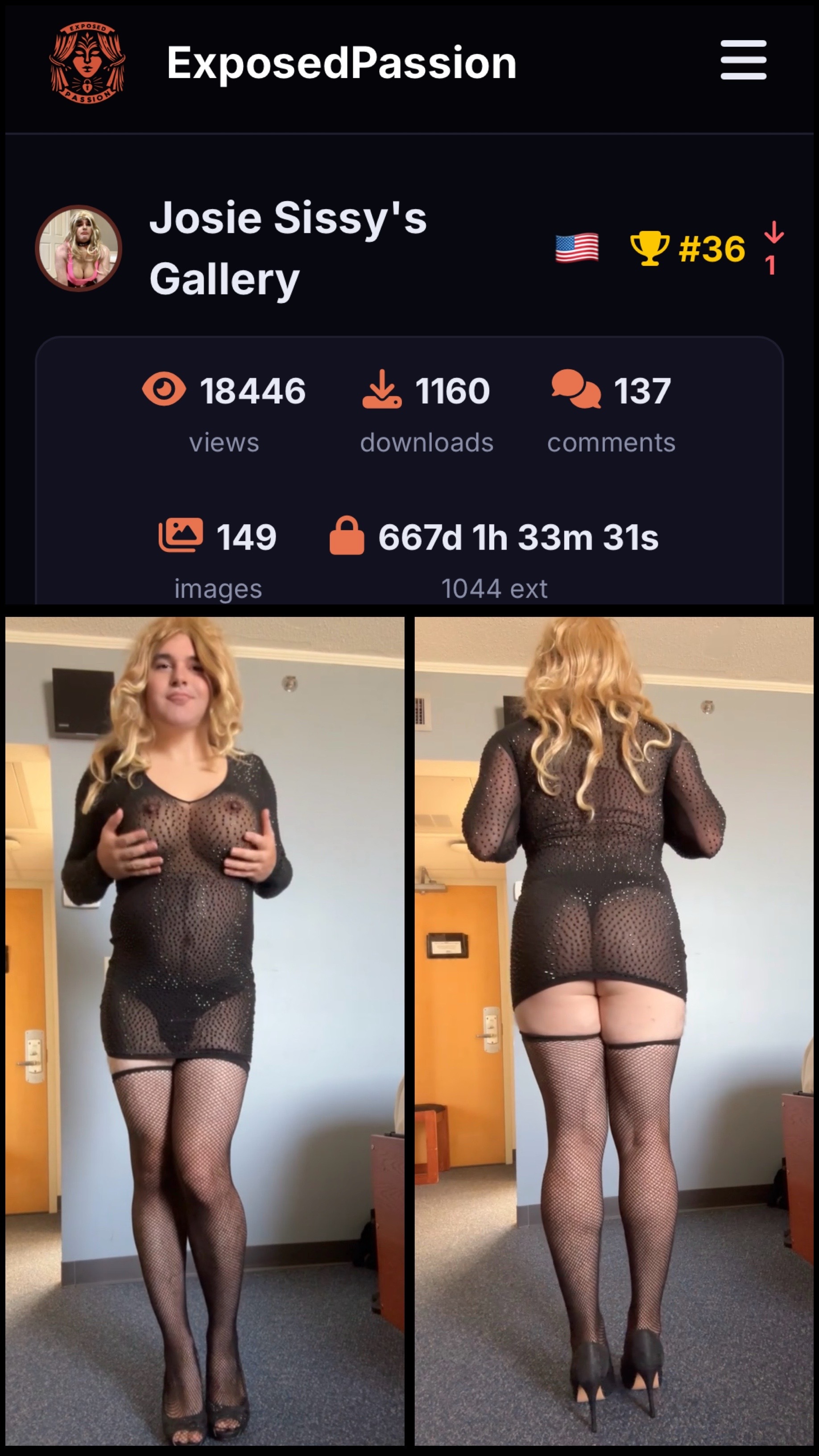 150 Uploads Later And This Is How Far It Has Gone