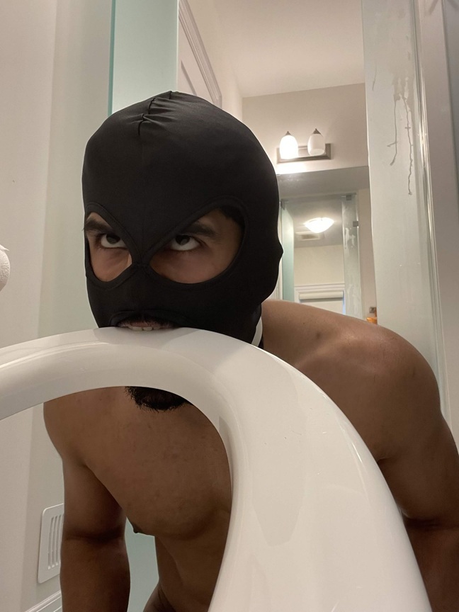 SILLY TOILET SLUT