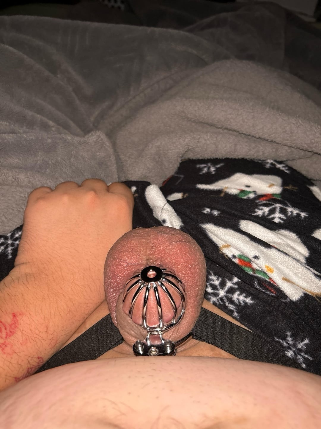 Do you like my new cage sir?