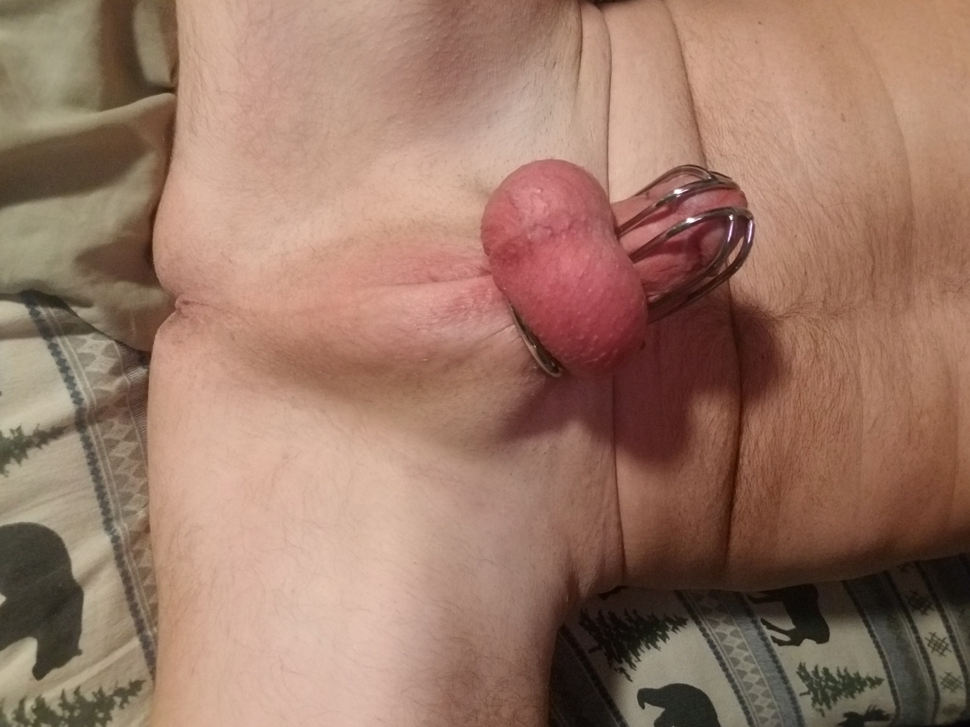 CBT chastity cuck