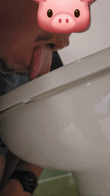 Piggy Tastes Another Toilet