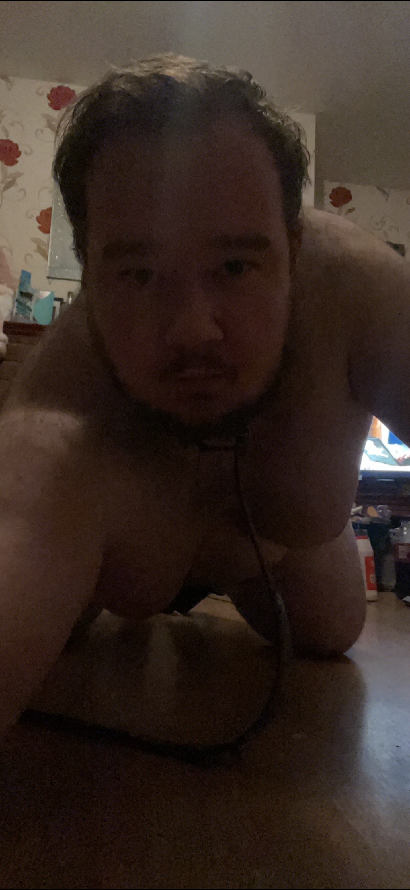 Lost bet. All fours from front