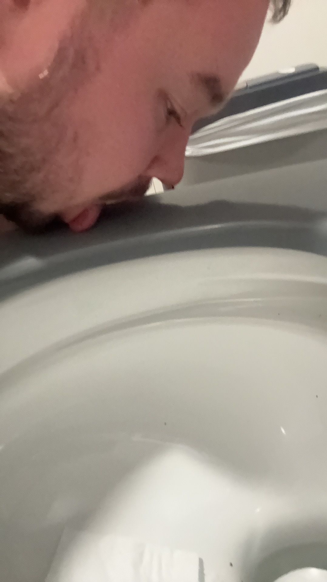 Lost bet. Licking the toilet