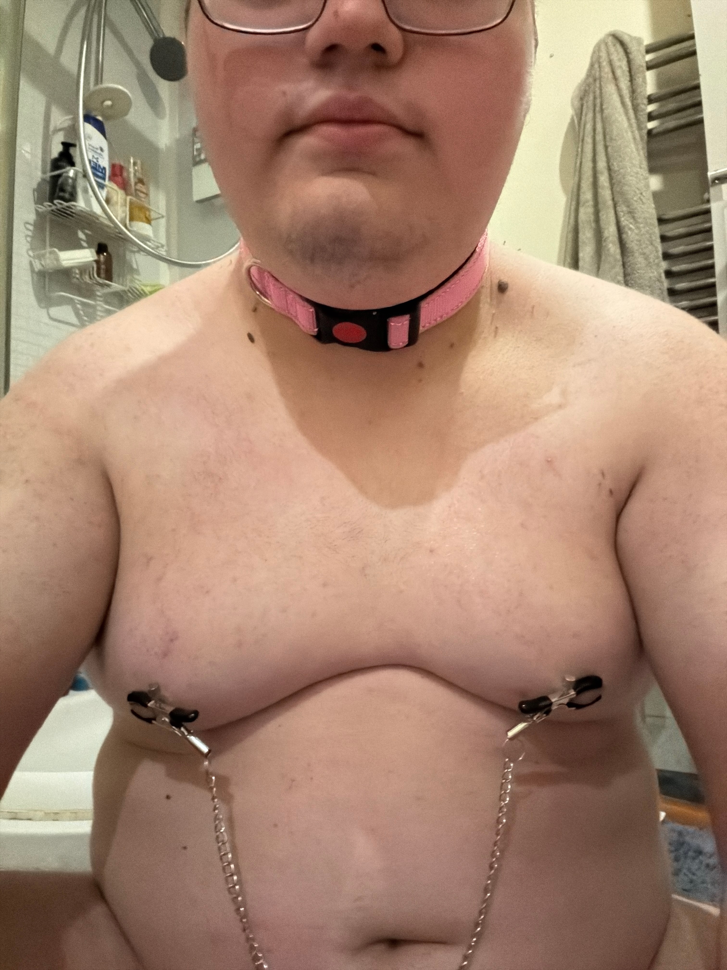 Collared and nipple clamped