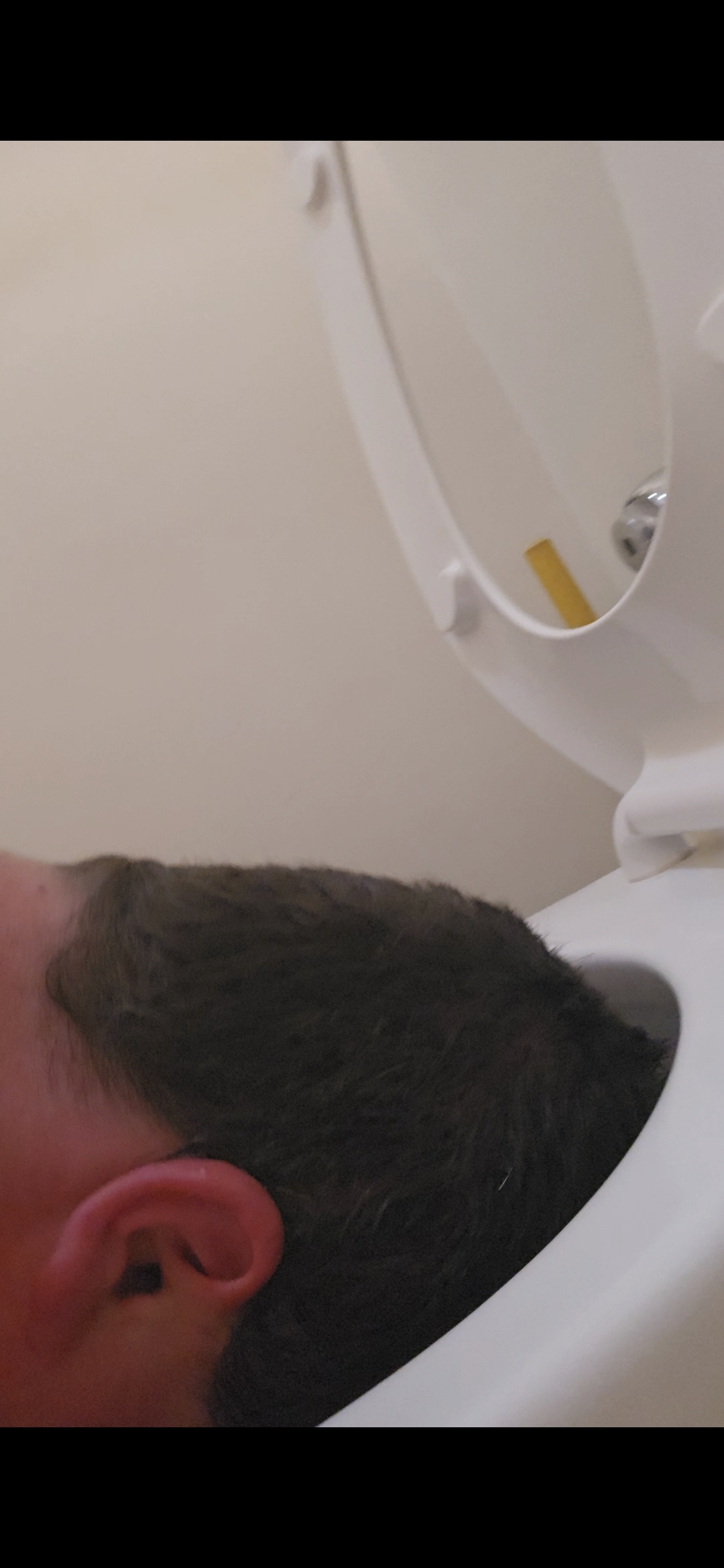 Piggy Loves Toilets