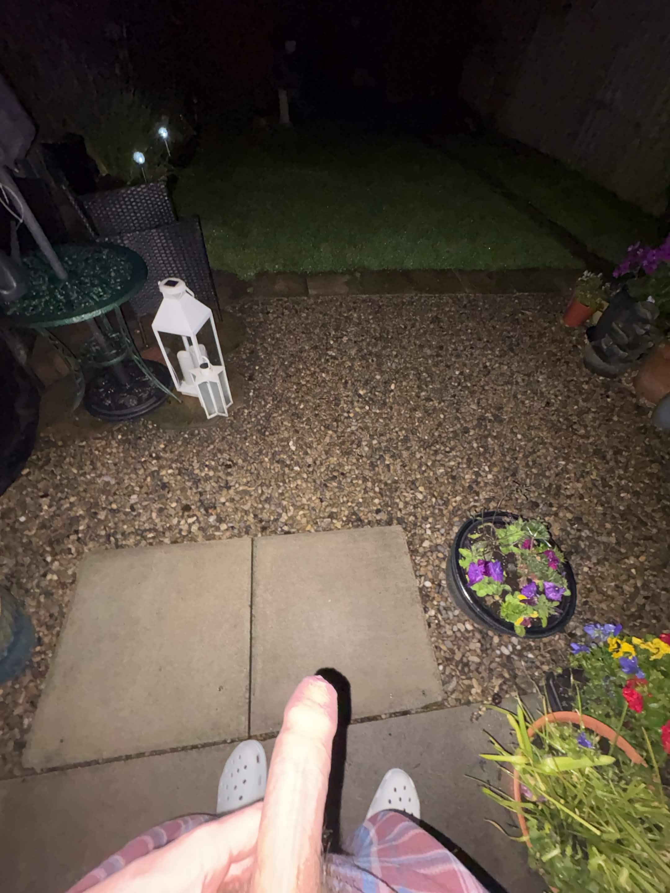 19 sub jerking in garden with flash on