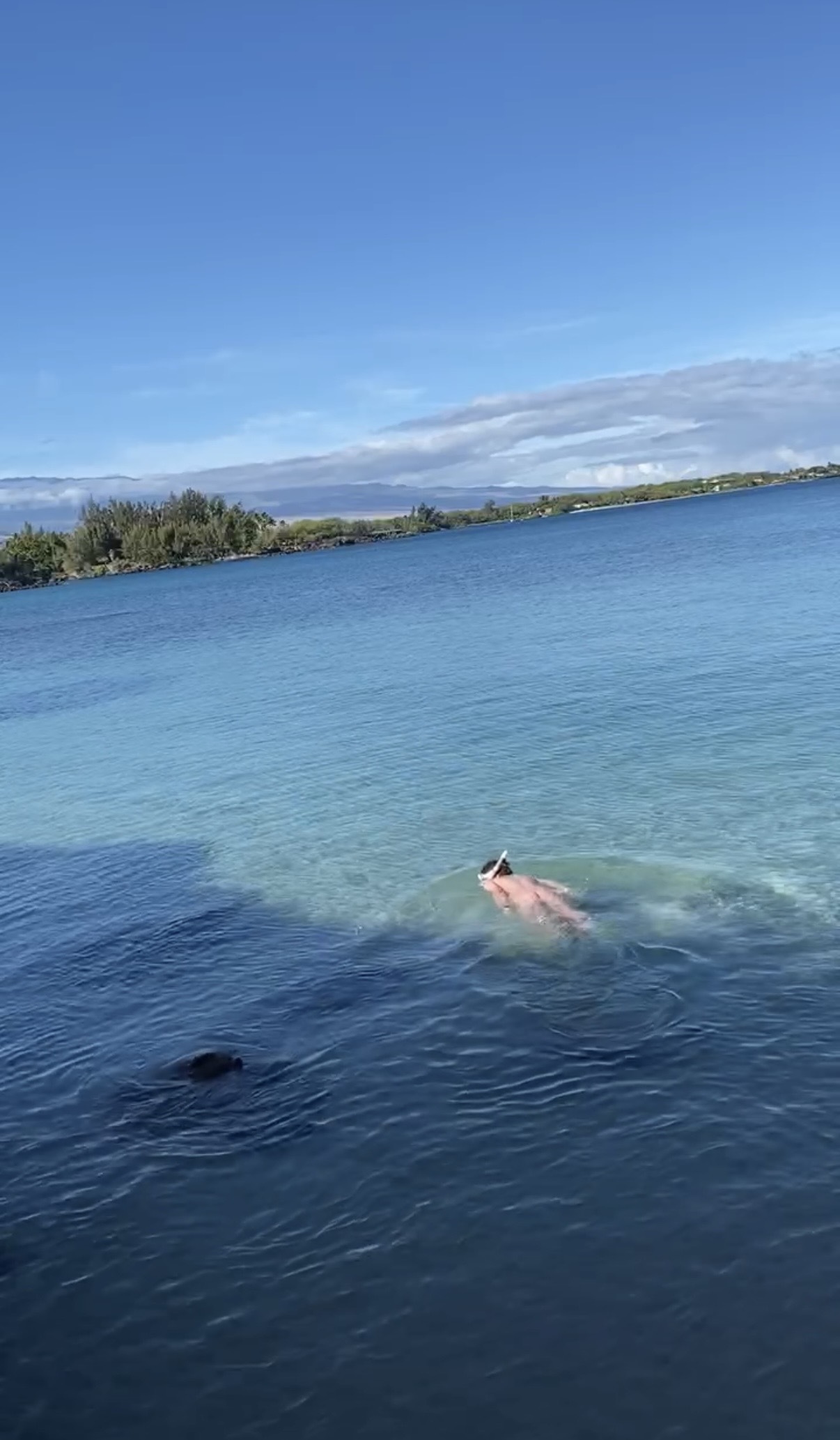 Snorkeling