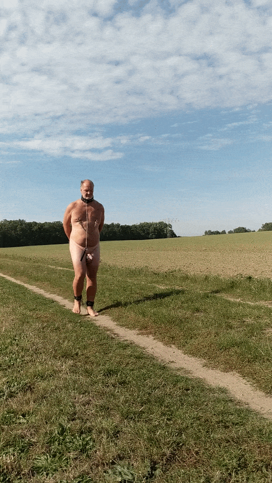 on the way from one forest to the next
