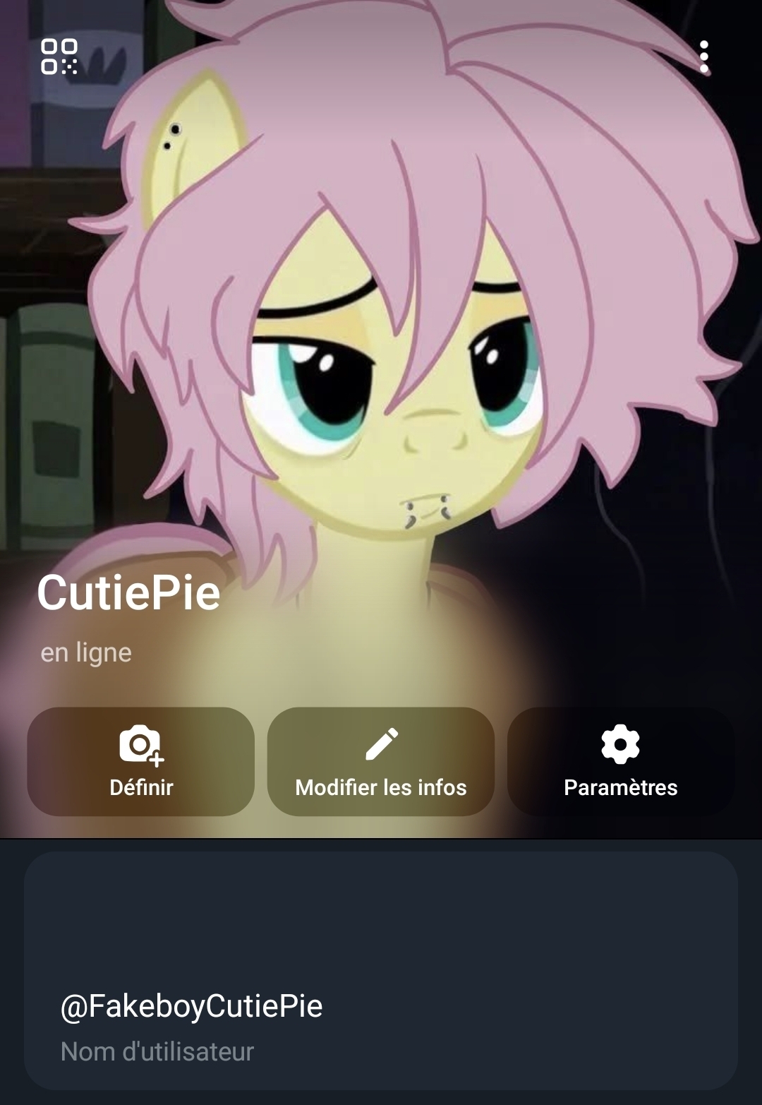 My Fakeboy Telegram