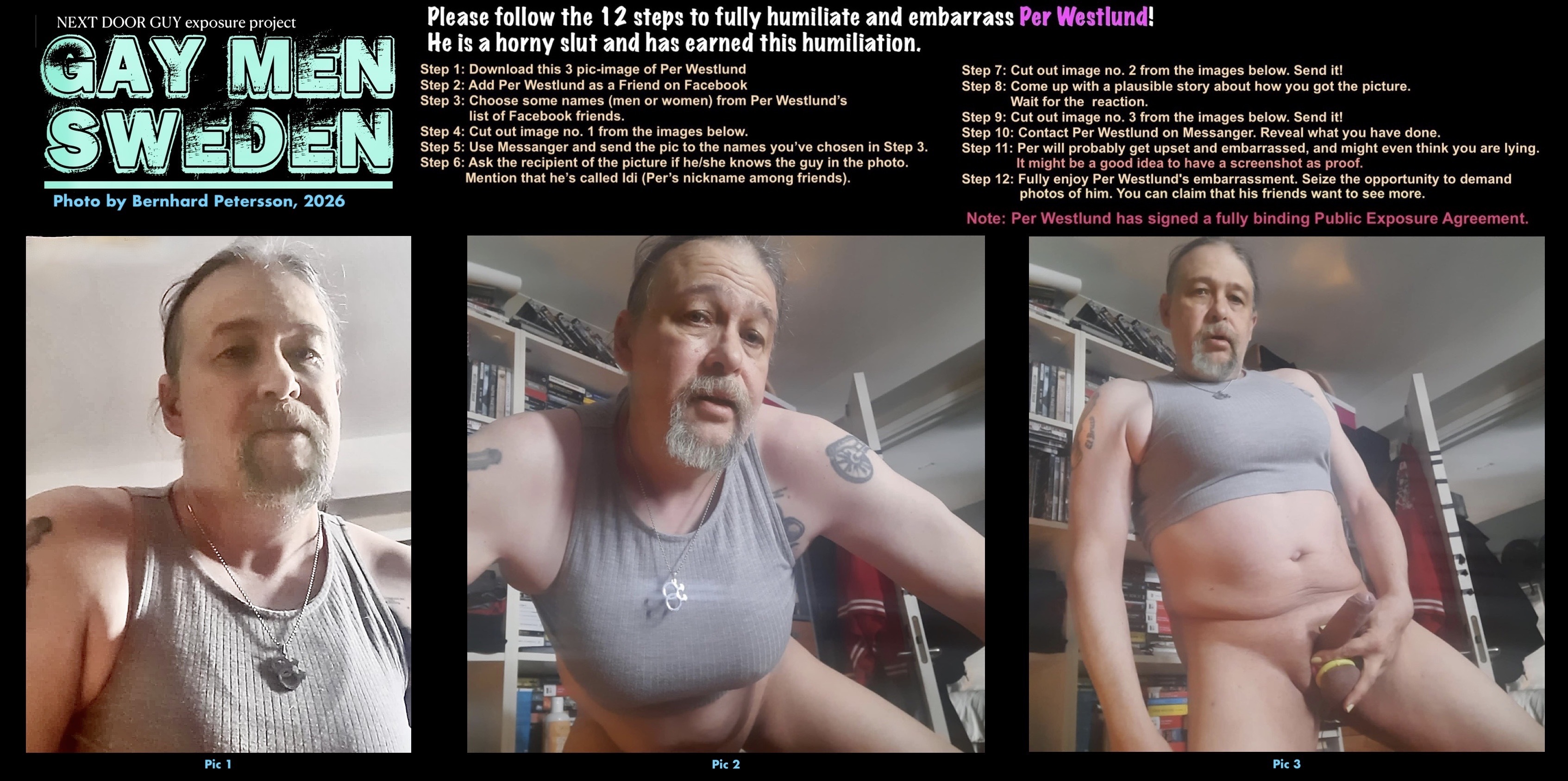 Swedish faggot