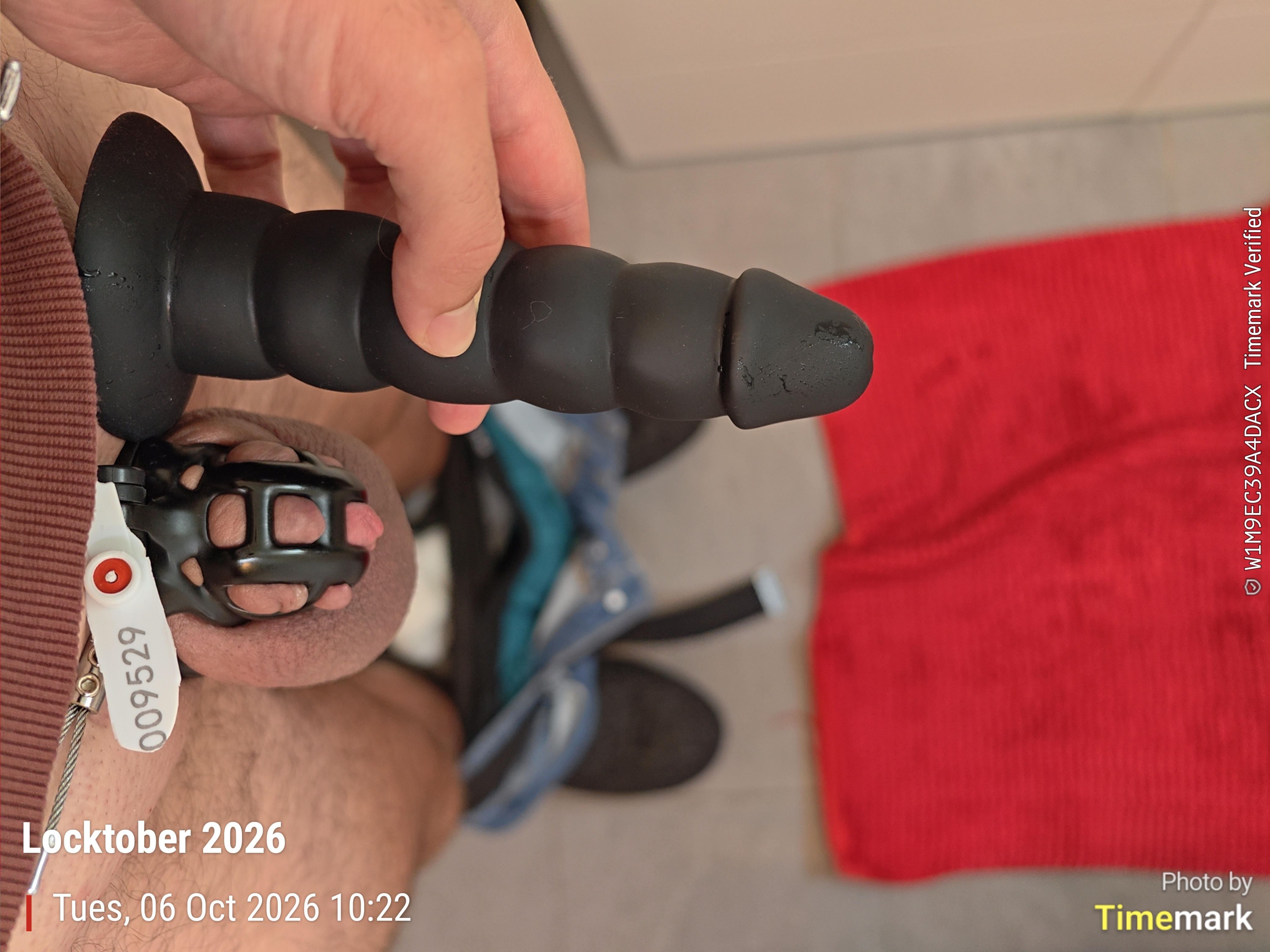 Cock comparison