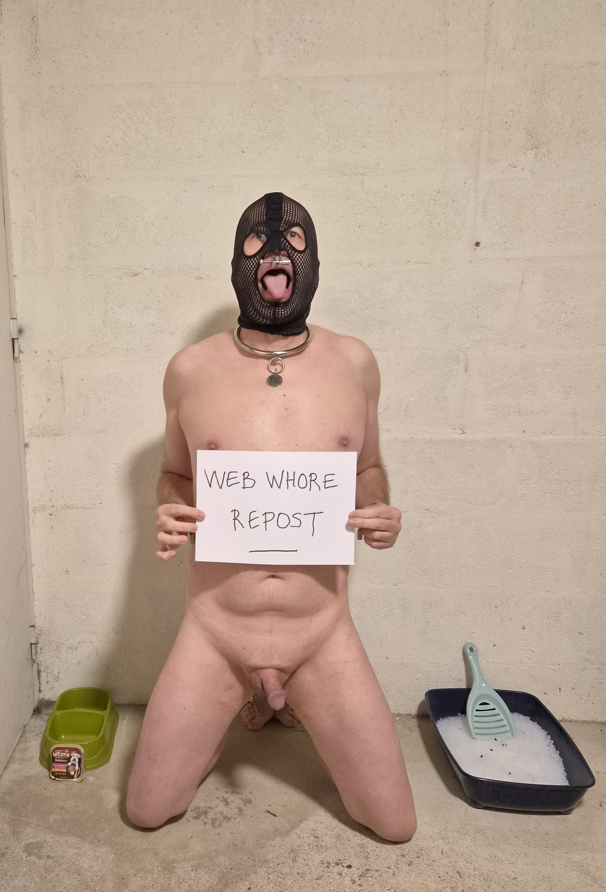 web whore