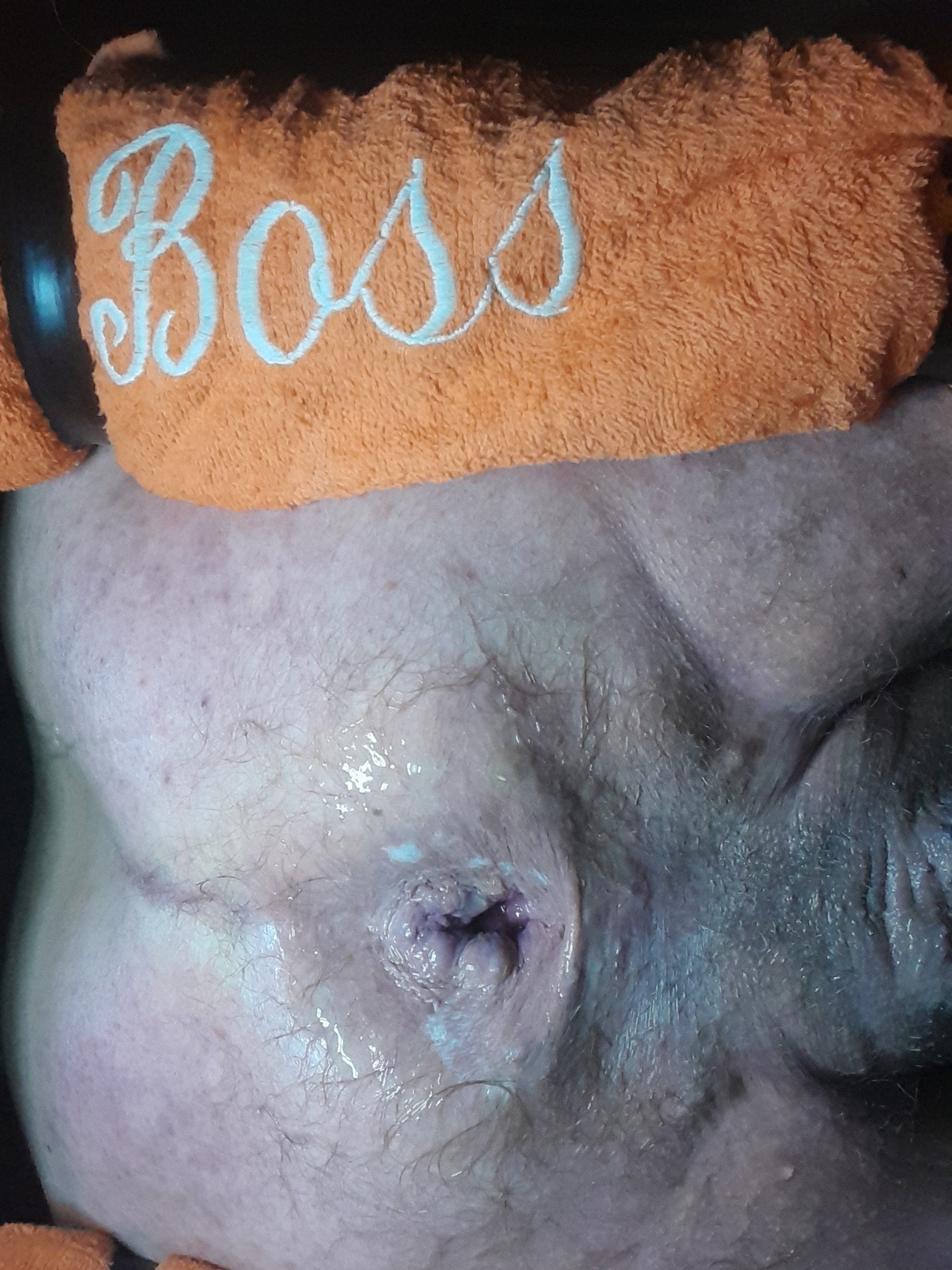 Pigs fat loose fagcunt