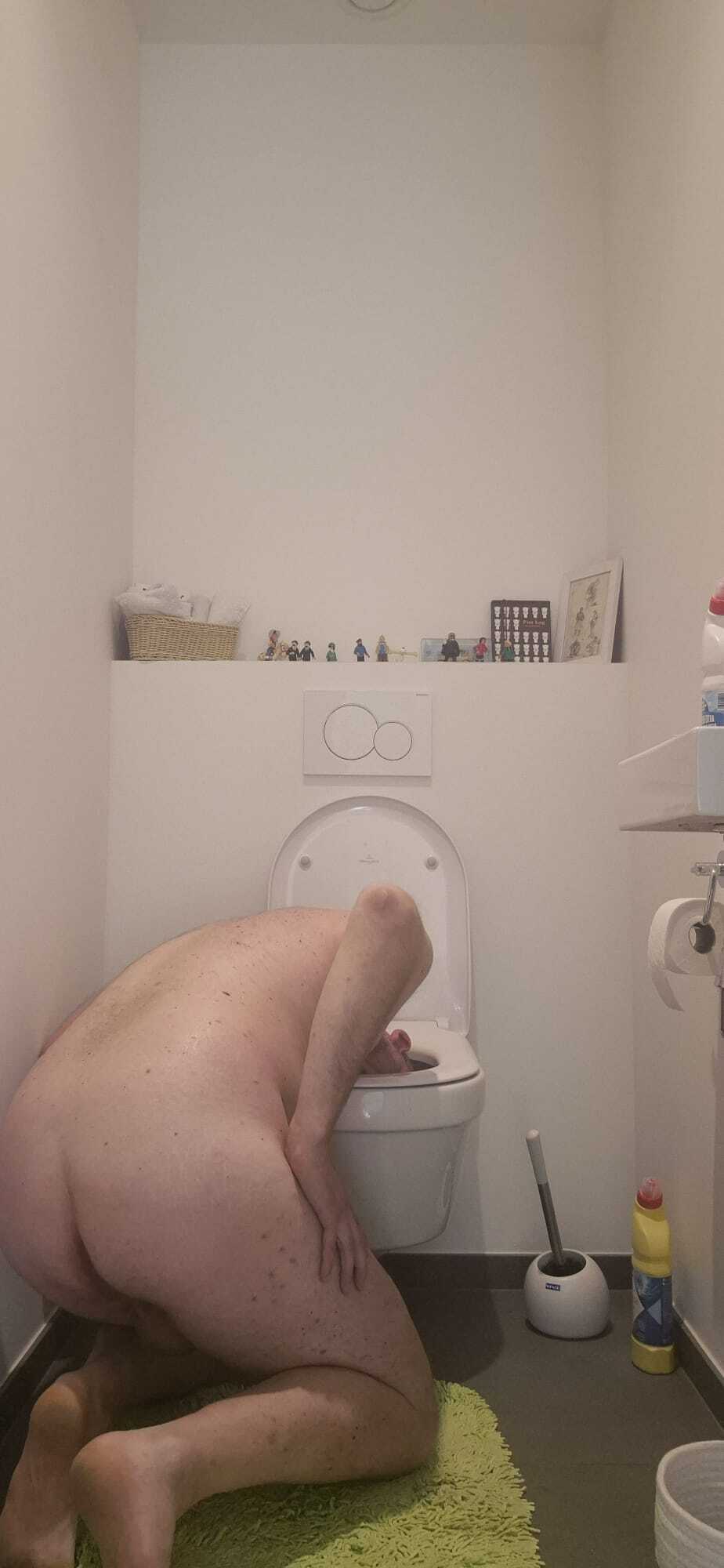 TOILET SLUT