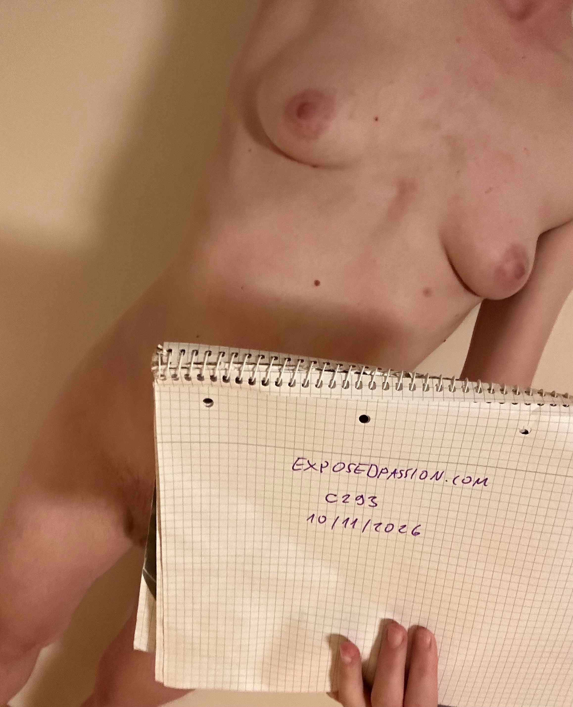 C293-Verification Photo