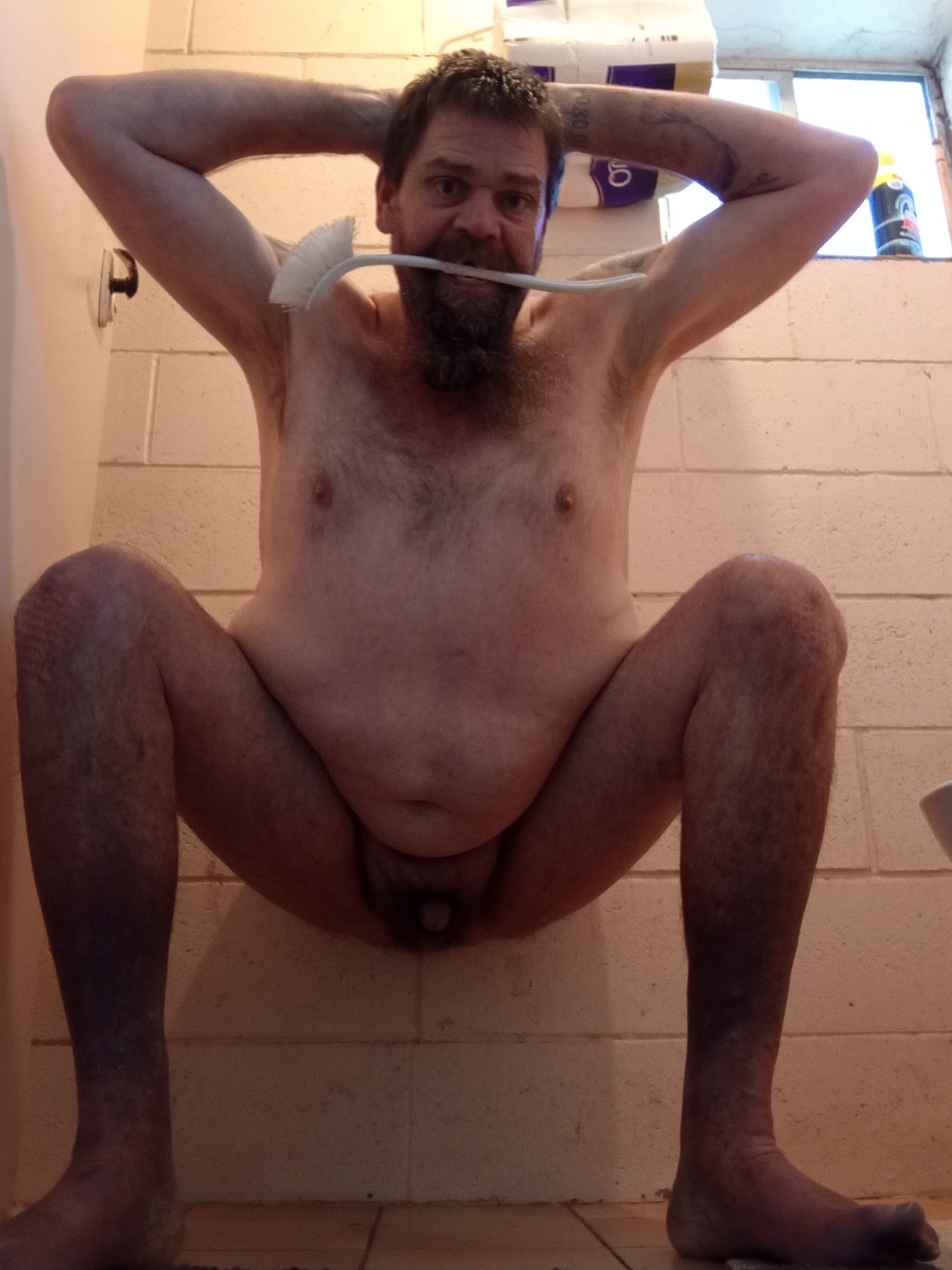 pig the toilet brush holder