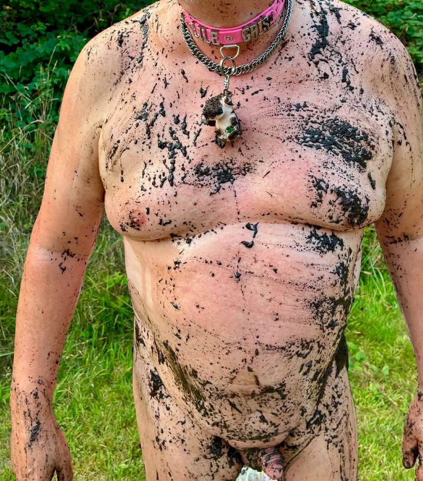 muddy piggy