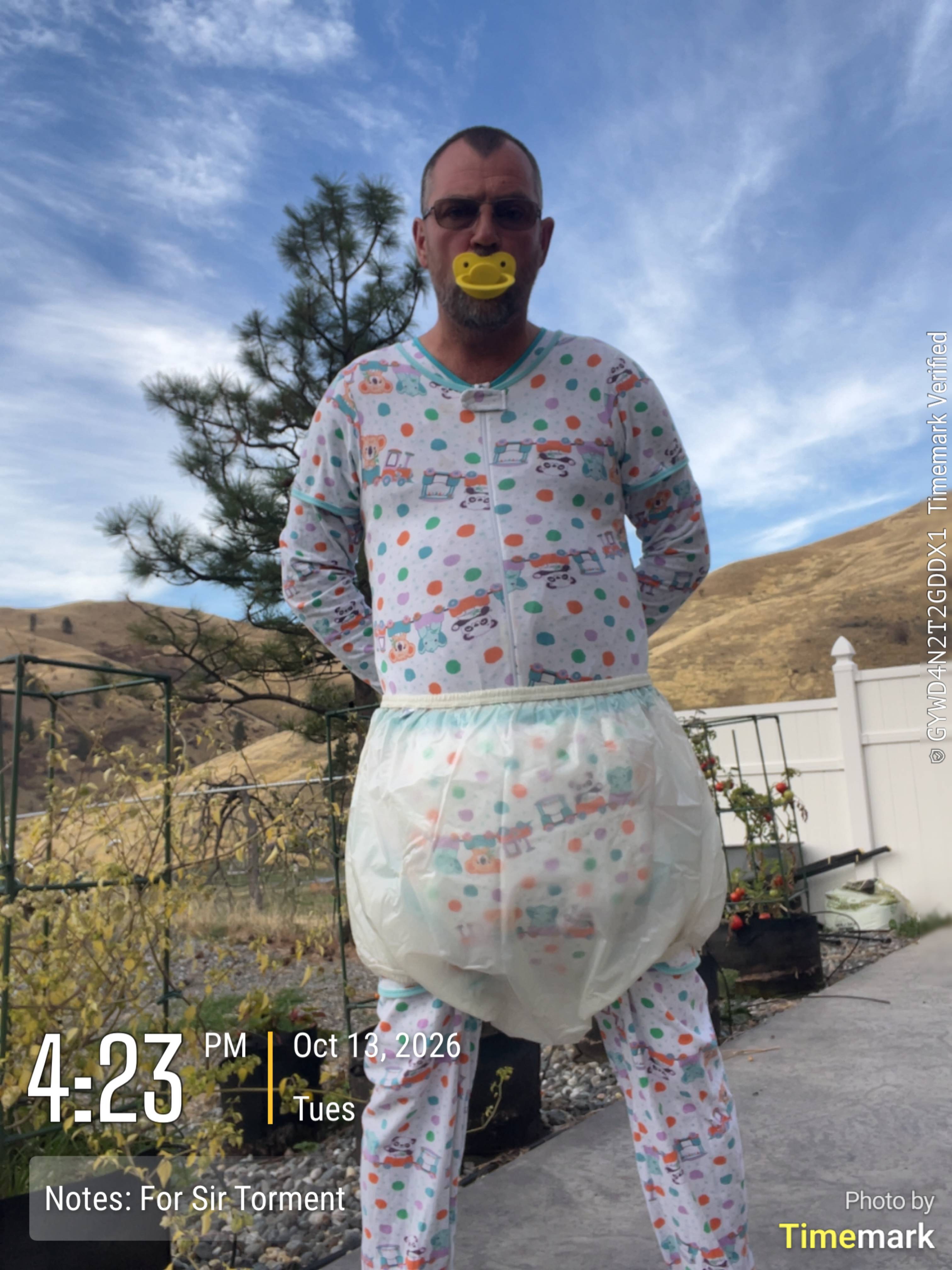 Silly Diaperfag