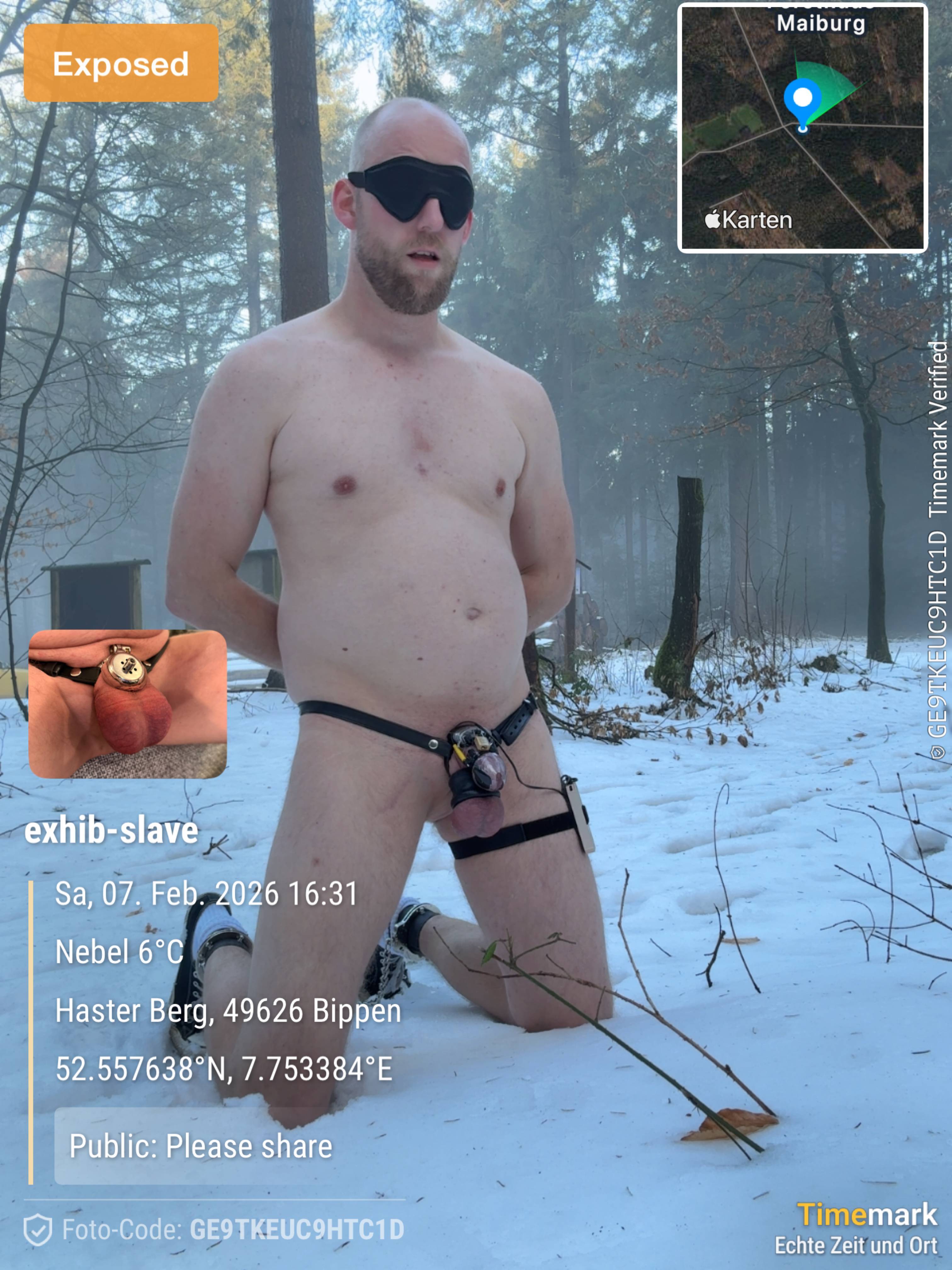 dom gesucht