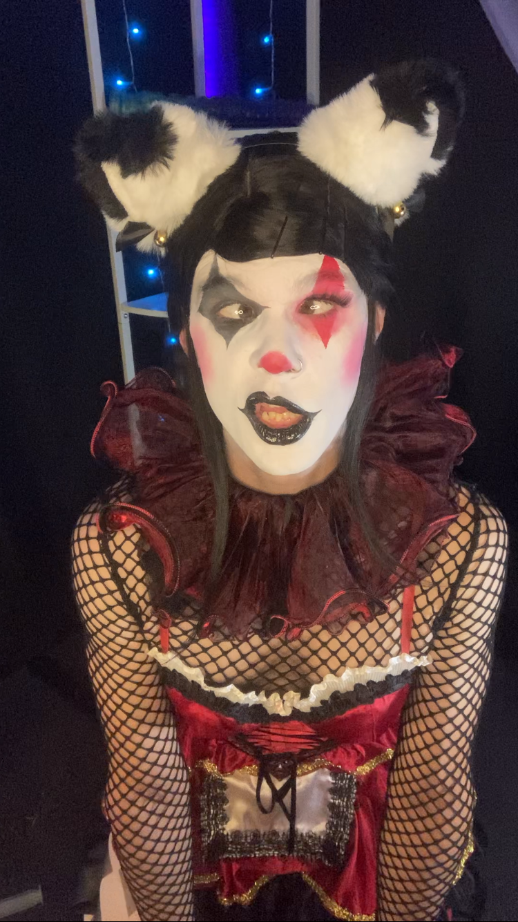 im a clown because my purpose is to entertain