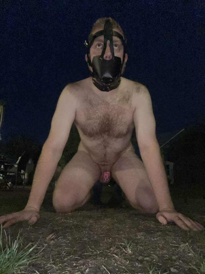 Chastity fag pup outside