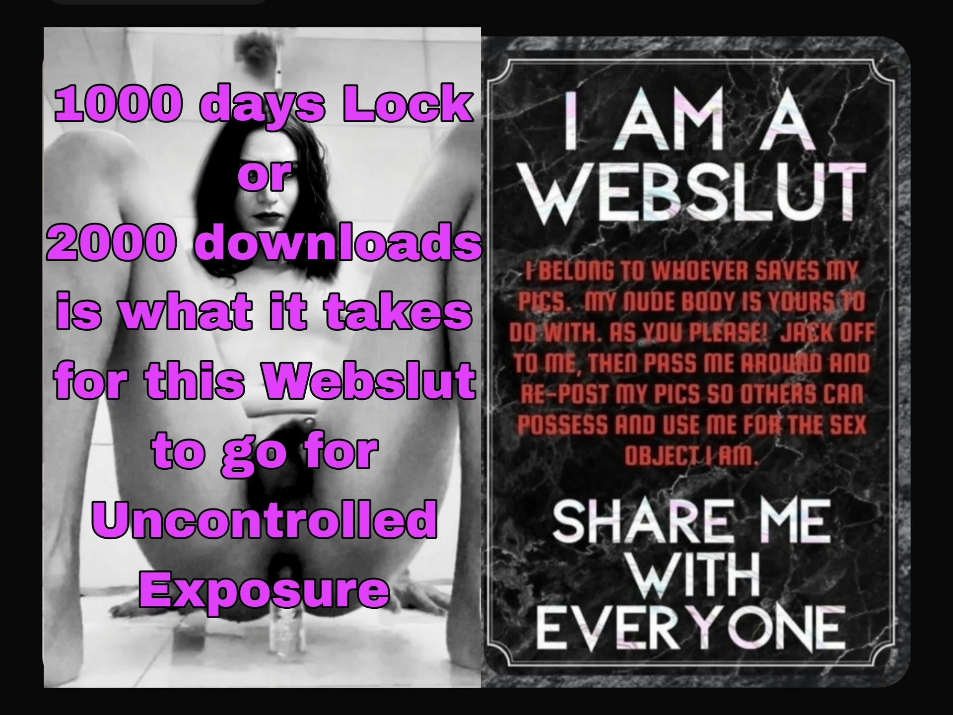 WebSlut : 🧠 Melt & Rewired