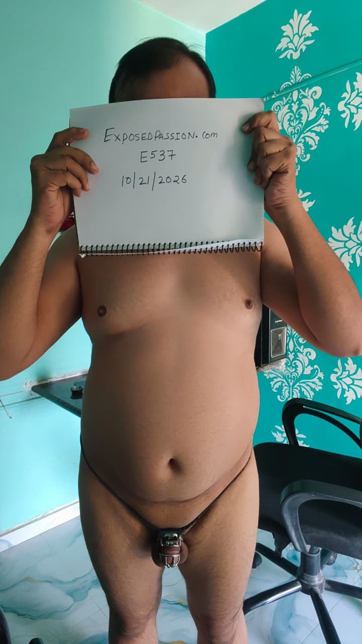 E537-Verification Photo