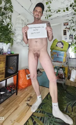 verify the shrimp