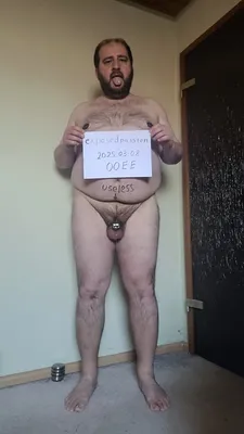 Piggy verification