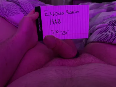 Verification 